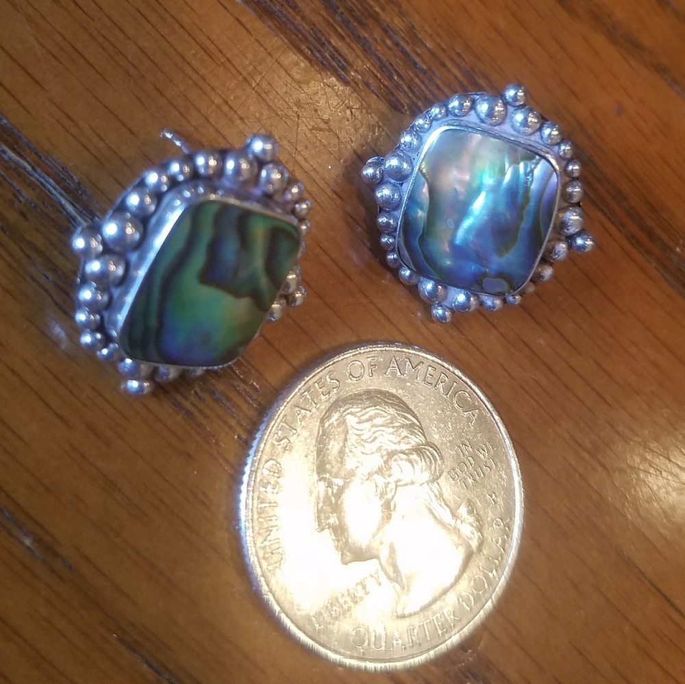Vintage Sterling Abalone Earrings